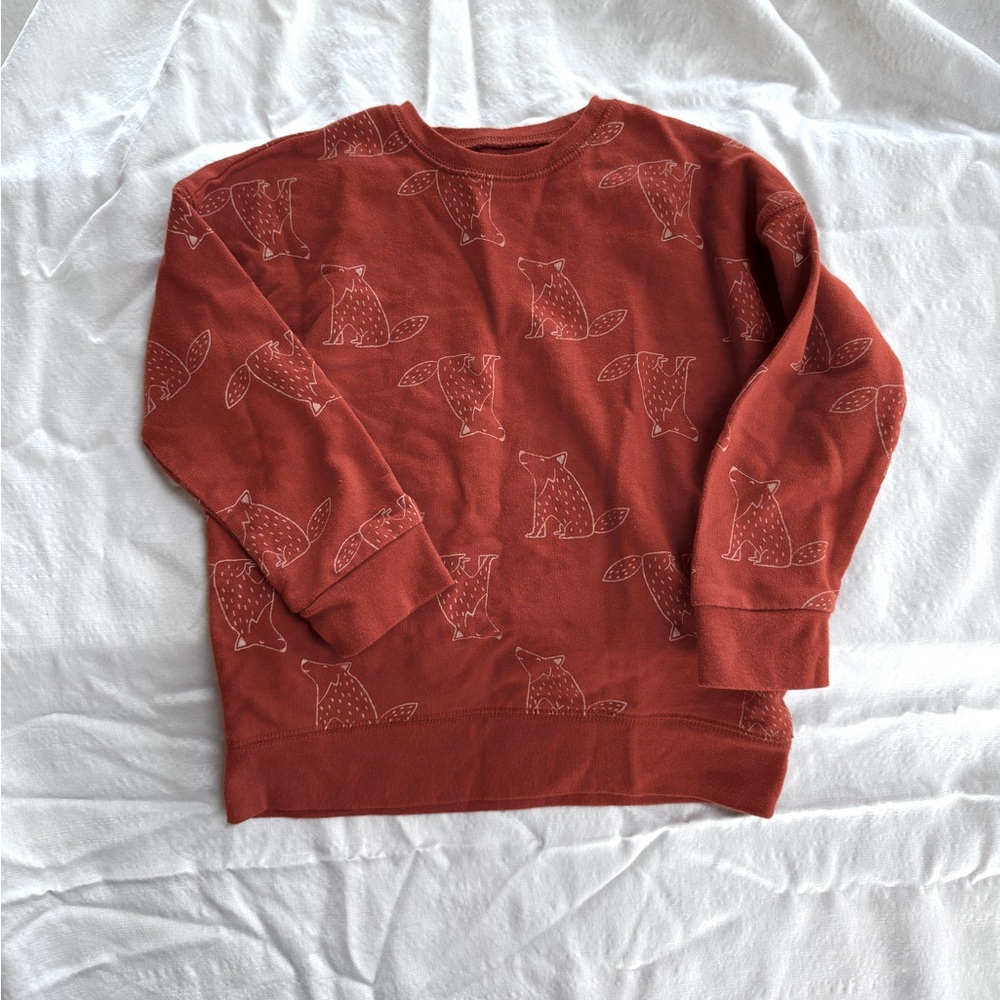 4T toddler pullover sweatshirt wolf print - terracotta colored sweater for kids